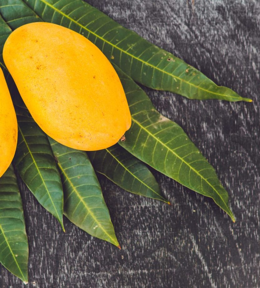 Mango 2 Scaled E1691571056986